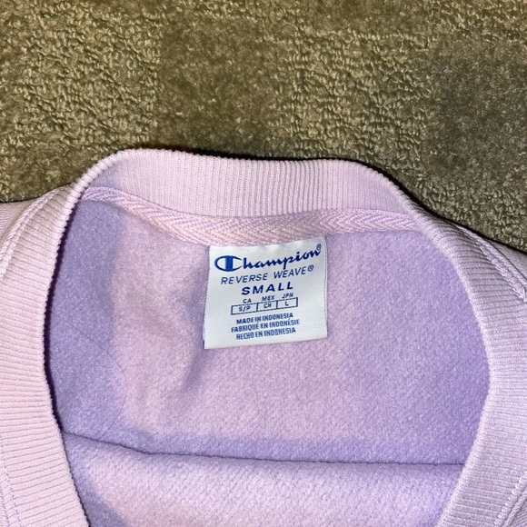 Cropped Champion Sweater - Picture 6 of 7